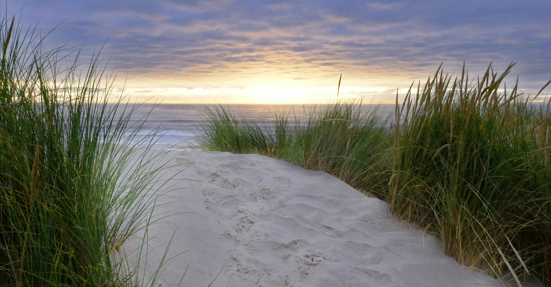 coast-oregon_john-peters-ULR-IRGPbmM-unsplash_class-gzhHfr.tmp_ coast oregon john peters ULR IRGPbmM unsplash class gzhHfr.tmp